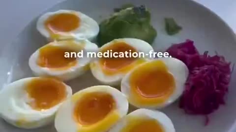 18 months on Animal Based Diet