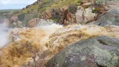 One in a Billion Moments in Nature