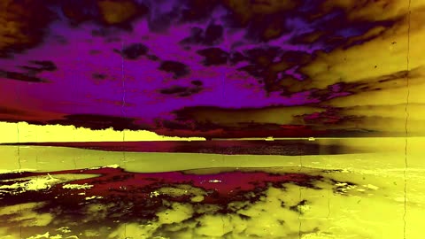 Much madness is divinest sense (short poem)