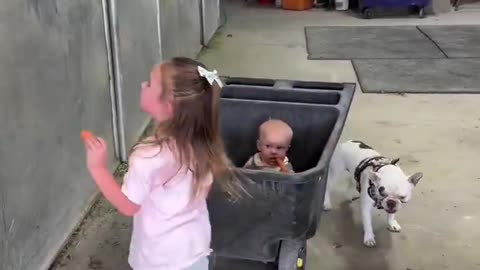 Woe Day 110. I am in the ark. Waiting for GOD to open the Door for a spring/summer Pentecost rapture