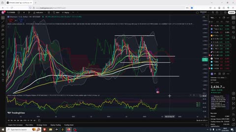 Crypto Bull Market Pump
