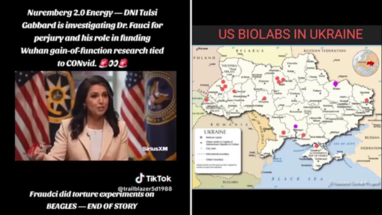 Noem on Fauci and Ukr biolabs..