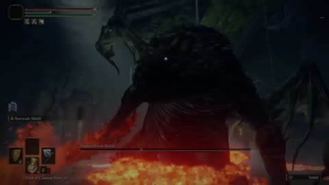 I Beat Magma Wyrm Makar