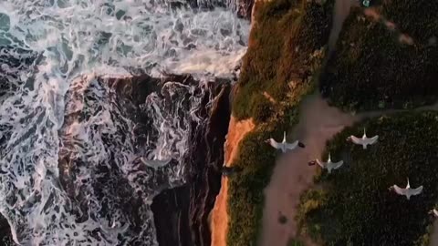 Breathtaking Drone Footage Will Leave You Speechless #shortsfeed #shorts