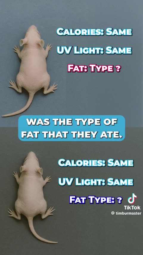 🚨 THE SKIN CANCER LIE: WHAT IF IT WAS NEVER THE SUN?