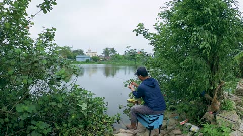Eel Escapades A Global Traveler