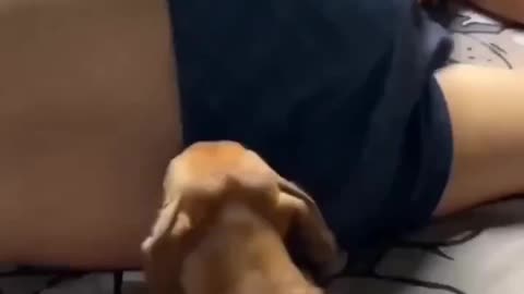 Funny