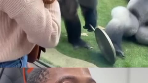 funny animals #foryou #funny #viral #animals