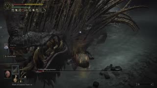 Elden Ring DLC | Golden Hippopotamus boss fight with Mimic Tear on NG