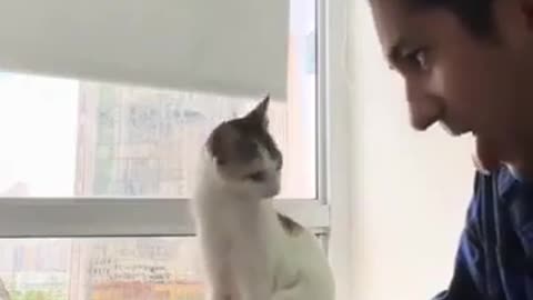 🤣😹 The ULTIMATE Cat Imitation! | FunFM