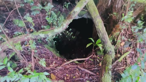 83-1064 HONAUNAU SCHOOL RD - LAVATUBE BUNKER