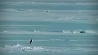 WE KNOW WHY!!!😎🇺🇸🔥🔥🔥