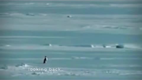 WE KNOW WHY!!!😎🇺🇸🔥🔥🔥