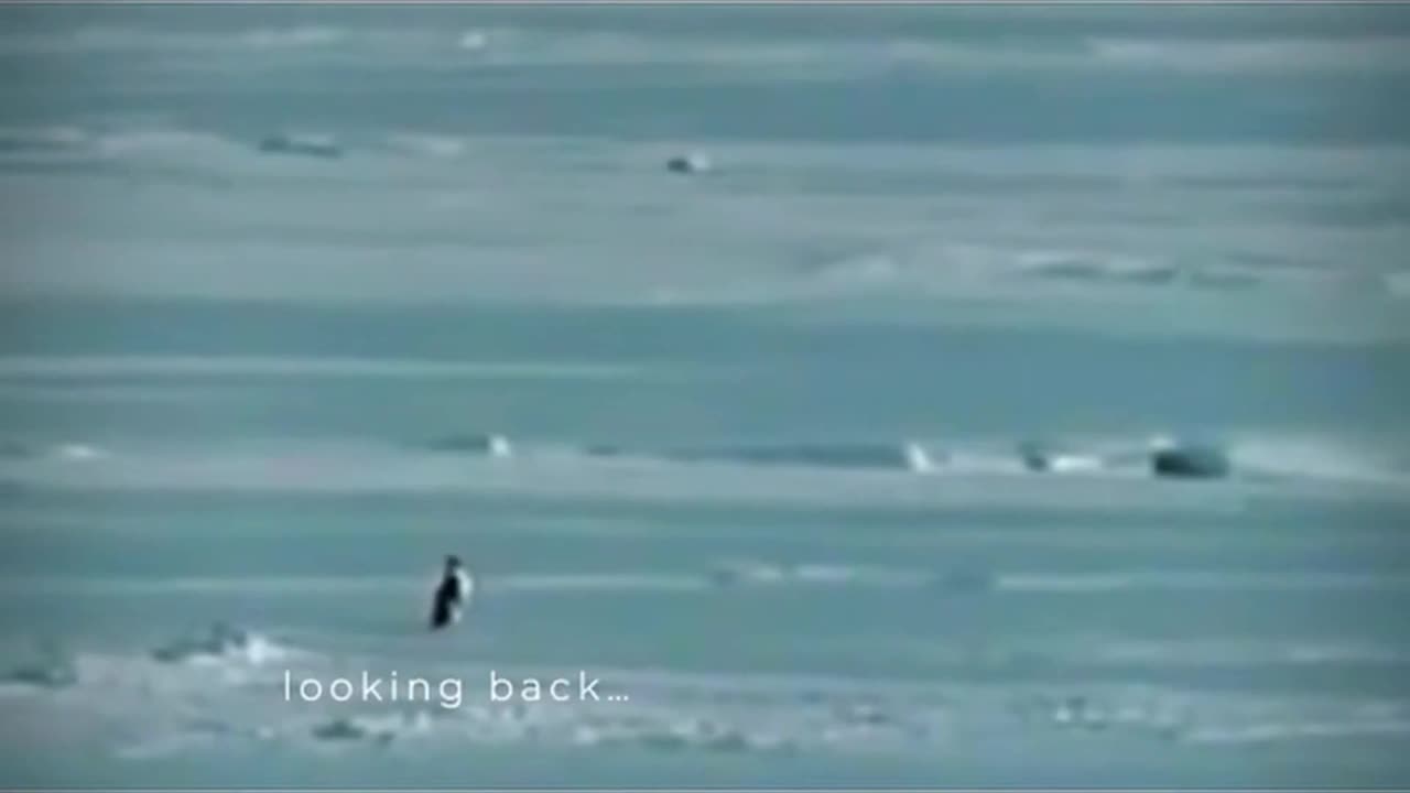 WE KNOW WHY!!!😎🇺🇸🔥🔥🔥