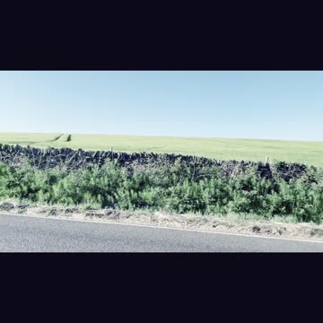 ♠️👽👁️🖼️🌎