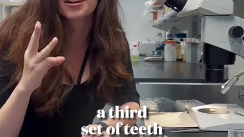 Toregem BioPharma