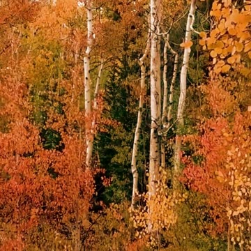 Engaging & Inspiring Video 6/24/2025