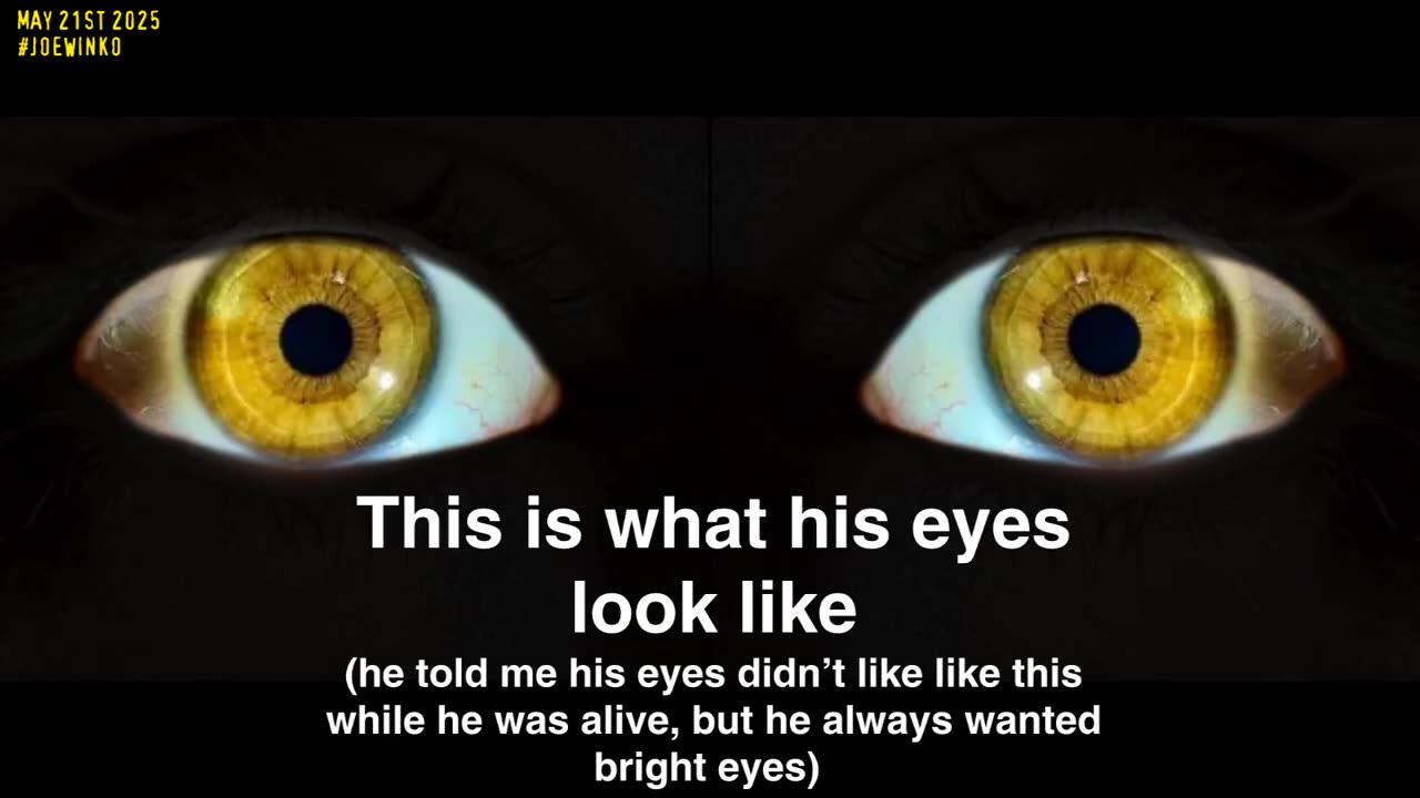 Rolf Tribute Video by Joe Winko (May 21st 2025) - Joe Winko