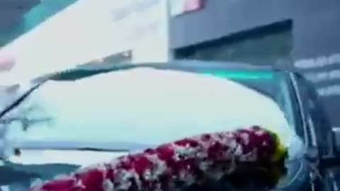 New Car Delivery