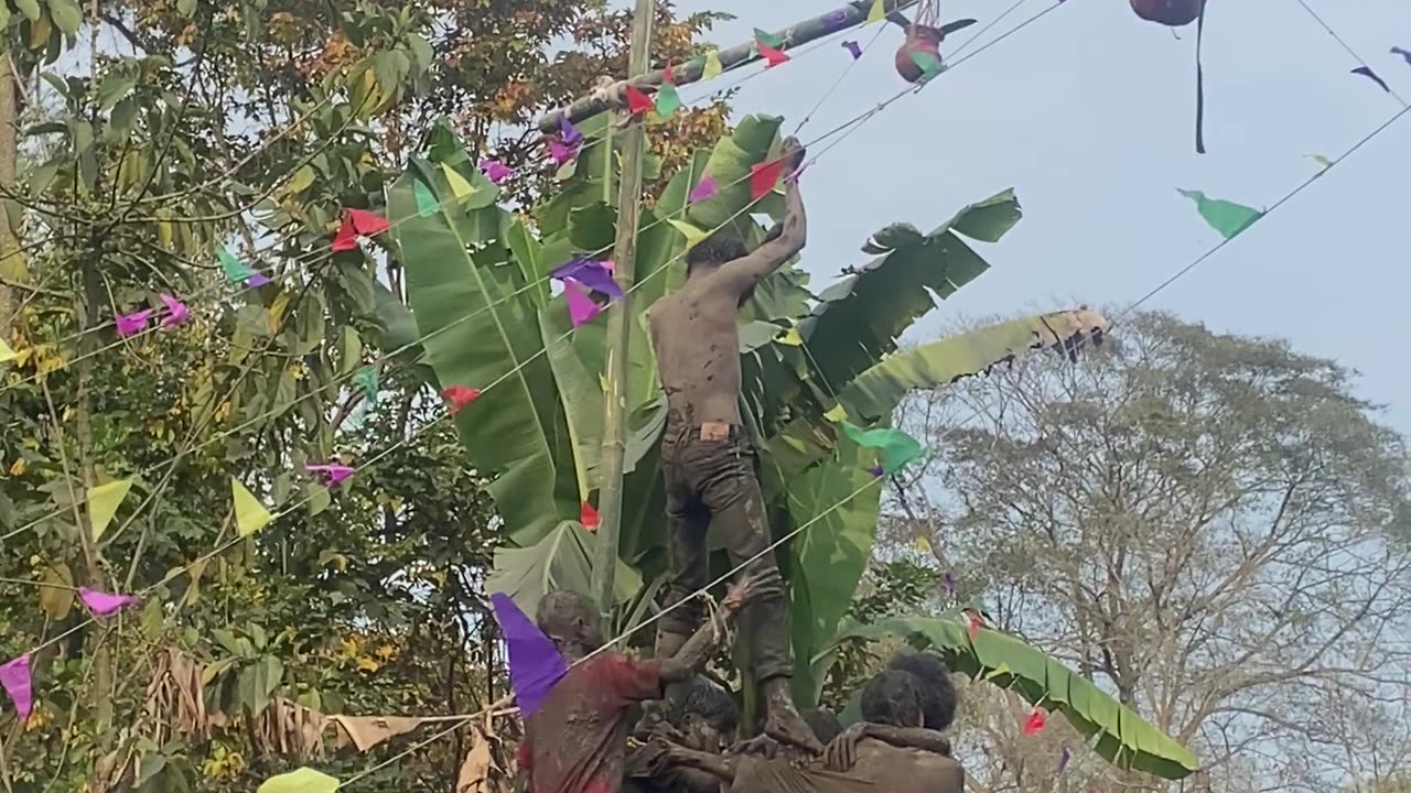 Indian holi festival