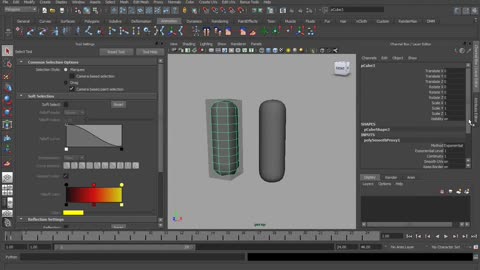 Character Rigging - Video 1