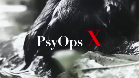 PsyOps X