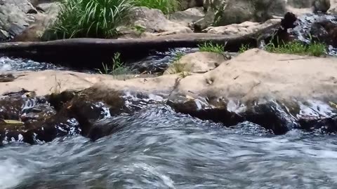8.4.2025 Jum Rum Creek
