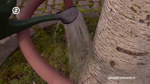 😱🤣 Watch The Reporter Melt Down to This Blunt Remark! | FunFM