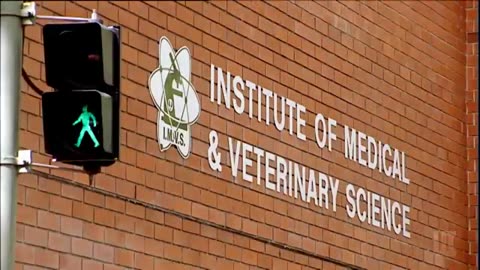 Horrifying scandal of forensic doctor never qualified to be one Under Investigation with Liz Hayes