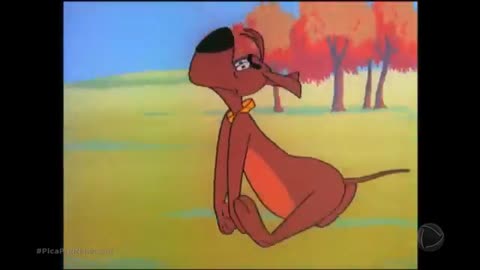 Woody Woodpecker and Friends - 1963x11 - Coy Decoy