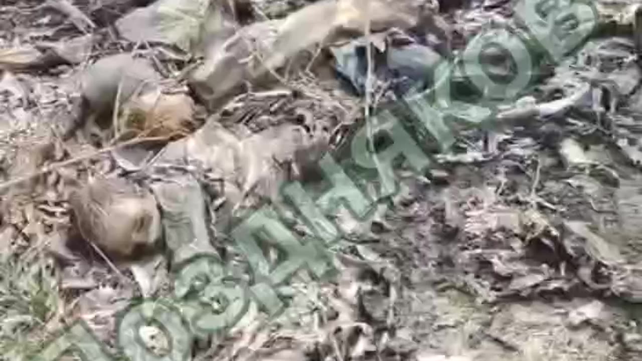WARNING! Soldiers Discovered the Decomposing Bodies of Murdered Russian Children in Kursk