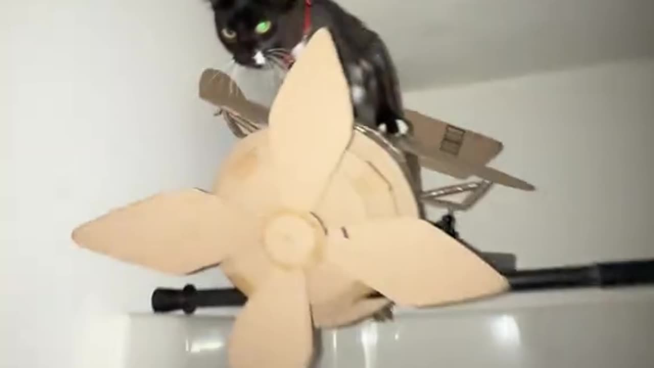 Meowfia