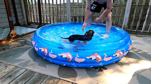 Mocha n Smiles 1st pool