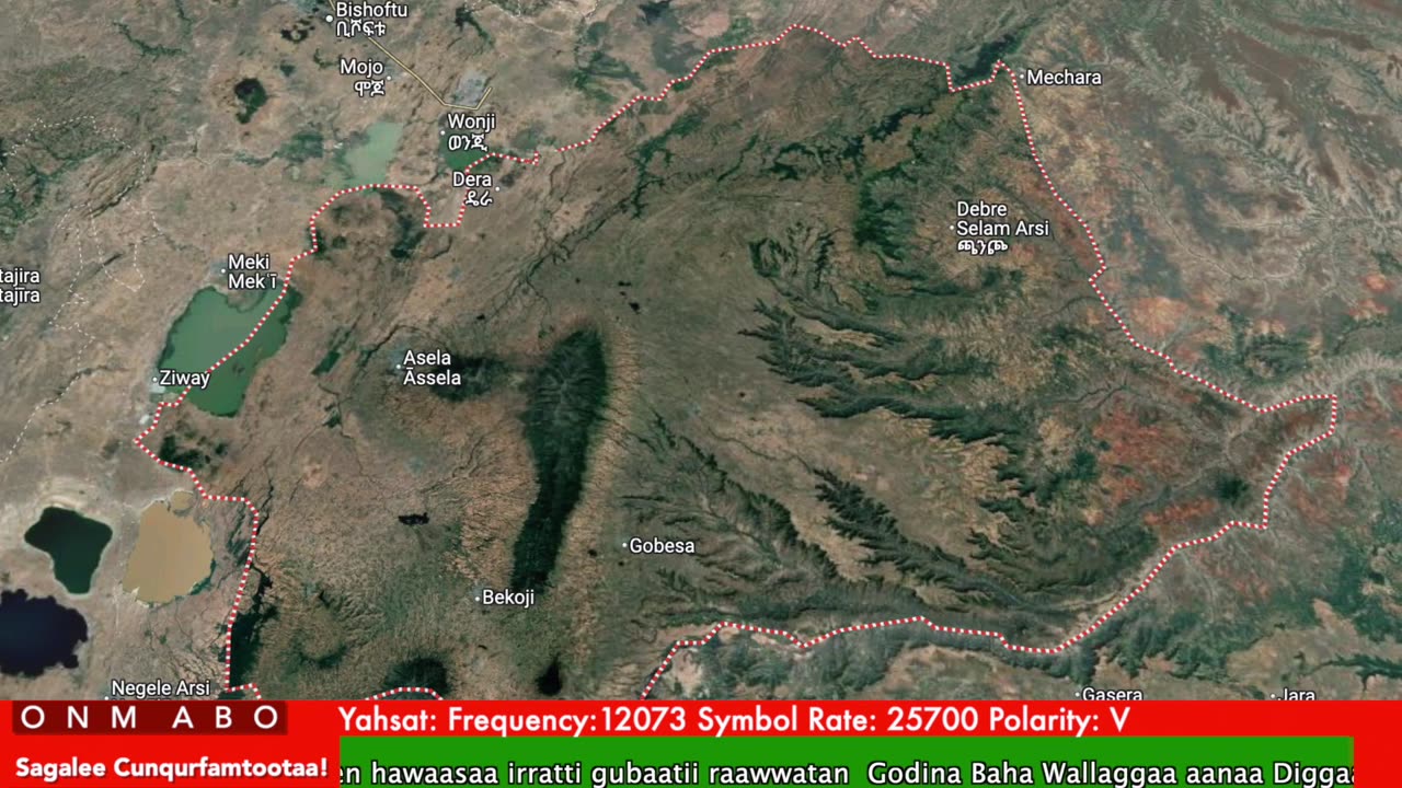 Oduu Ganama ONM-ABO Ebla 26-2025 itti dhiyaadhaa!