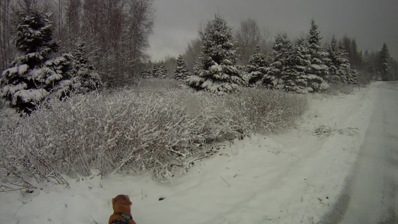 April 9th, 27º