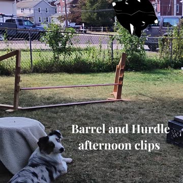 Circuit Training and Practice afternoon shorts 2