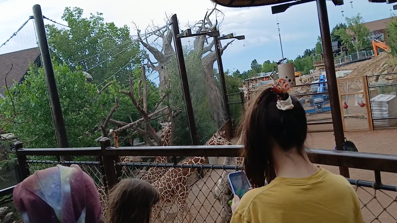Cheyenne Mountain Zoo Part 11
