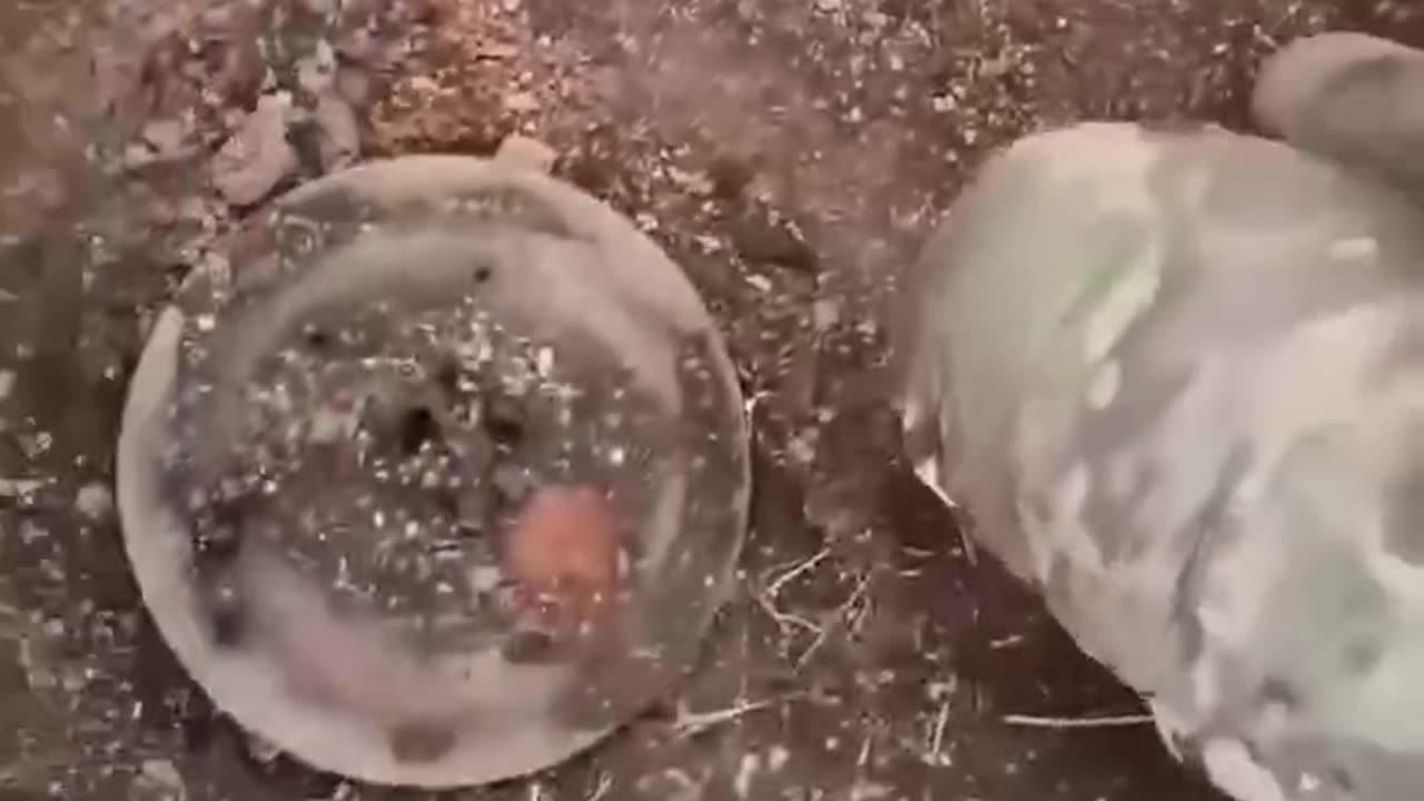 Push your luck