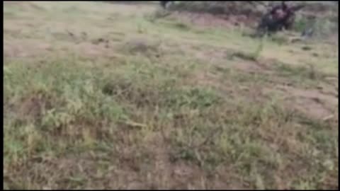 🔥🚨 Myanmar War | TGYR Youth Counter Revolution July 1 Ambush POV | RCF