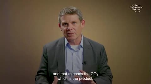 The World Economic Forum pushes carbon removal plants as "crucial to meeting ...