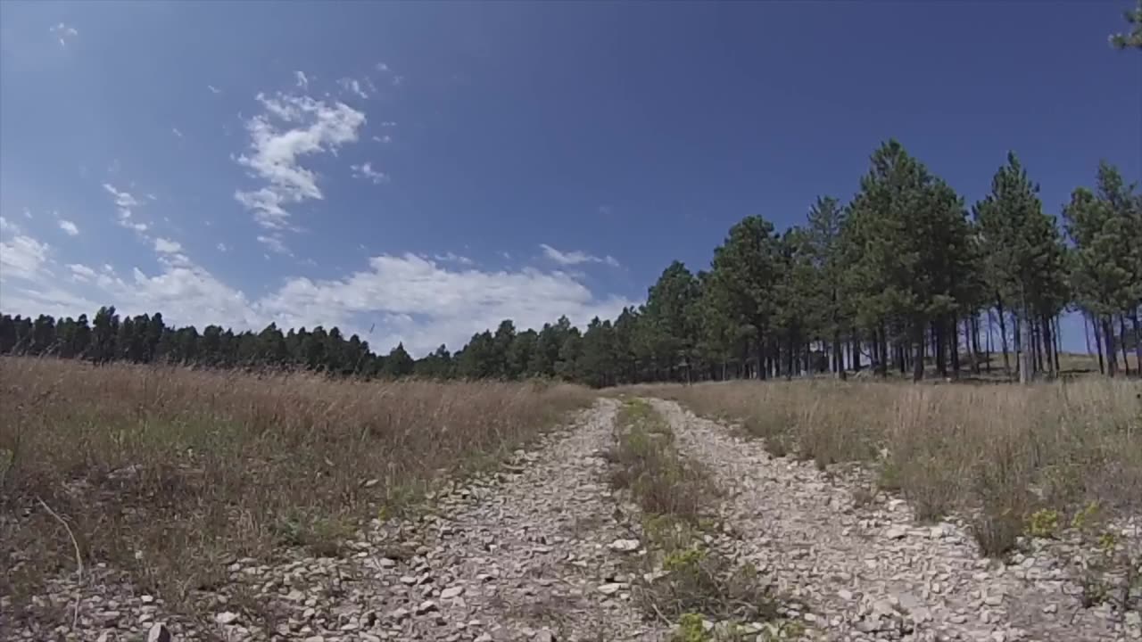 82” non-width restricted Forest Service Road 641 Pine Grove Trailhead Black Hills South Dakota