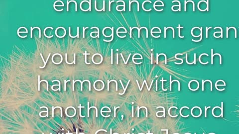 Prayer of Endurance #youtubeshorts #grace #jesus #mercy #faith #fyp #trust #blessed #fear #love #joy