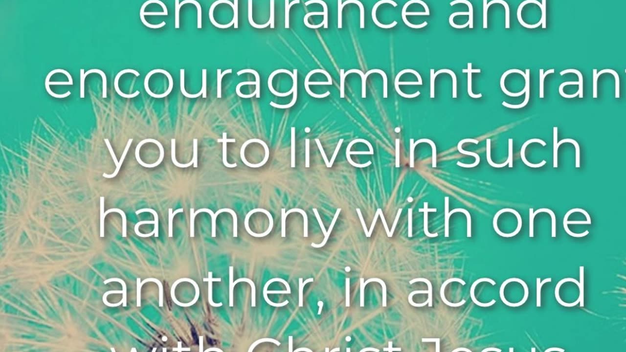 Prayer of Endurance #youtubeshorts #grace #jesus #mercy #faith #fyp #trust #blessed #fear #love #joy