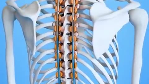 _medicina _cirurgia _biologia _ciencia _vocesabia _curiosidades(