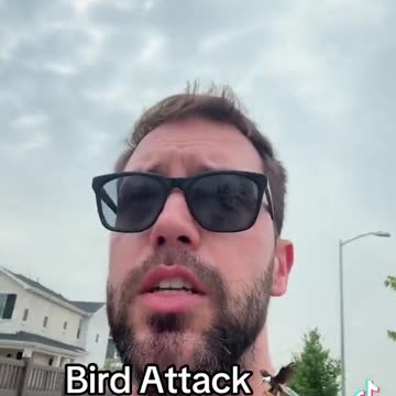 If you see this guy on the streets, can you please take away his Man Card! Sound up 😂😂