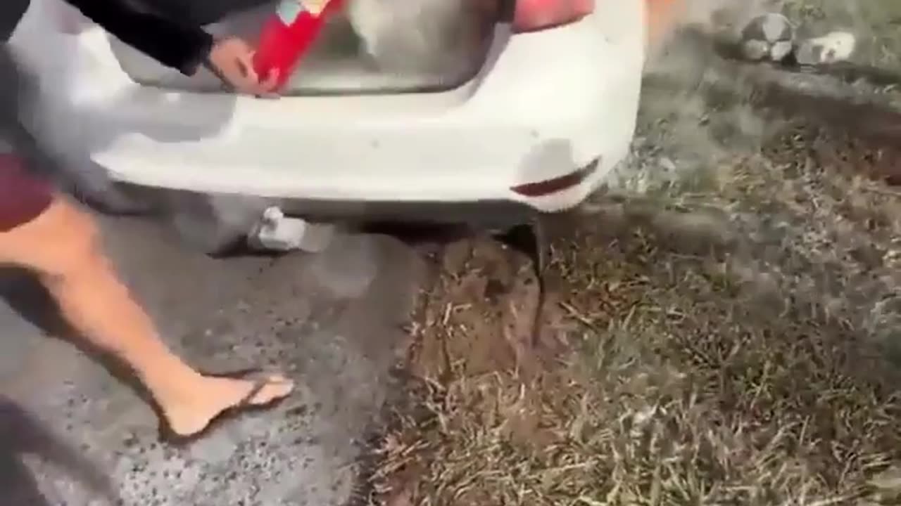 💥😱 You Won't Believe This Modified Car's Speeding Fiasco! | FunFM