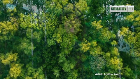 🔴 [HD+] Electronic Music Experience from Clubs, Events, Festivals and Studio Sessions 🎧🎶