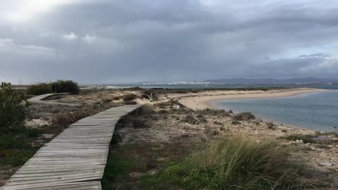 Boat Tour (Ria Formosa Natural Park, Algarve, Portugal) 7