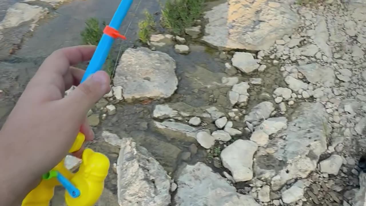 Toy Rod Quickly Catches Fish