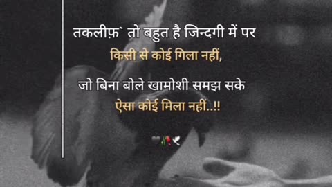 Khamoshi ki Zuban: Jab words kam pad jayen"
